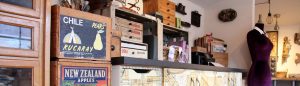 inside Ali Ferguson's studio
